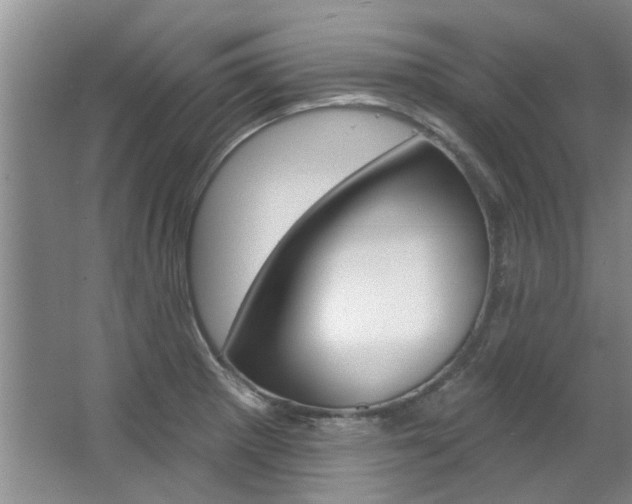 X0000063491281200601201041