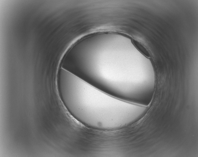 X0000063491288200601201041