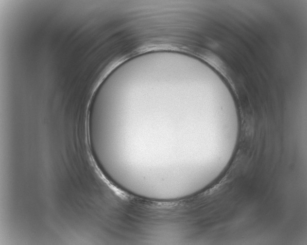 X0000063491290200601201041