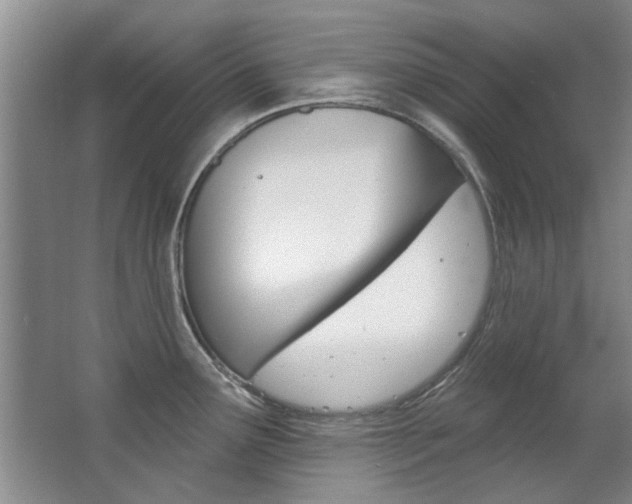 X0000063491291200601201041