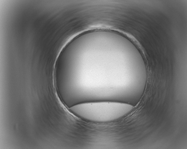 X0000063491295200601201041