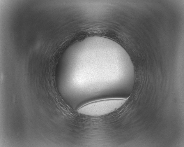 X0000063491297200601201040