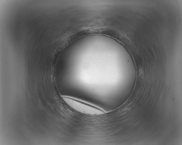 X0000063491300200601201040