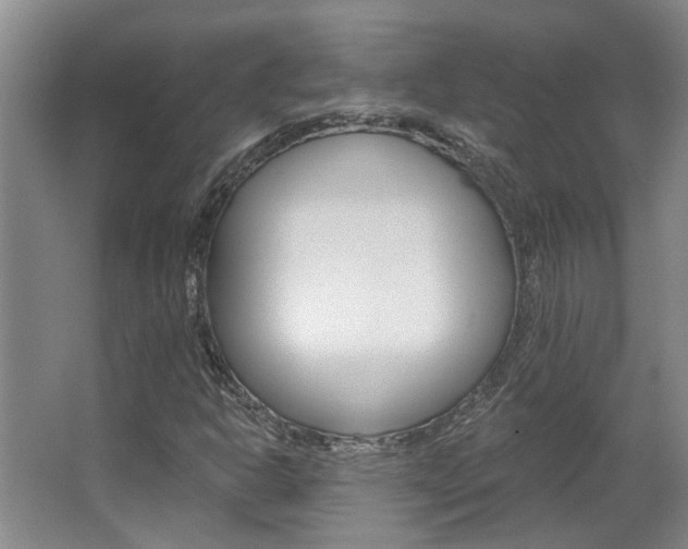 X0000063491302200601201040