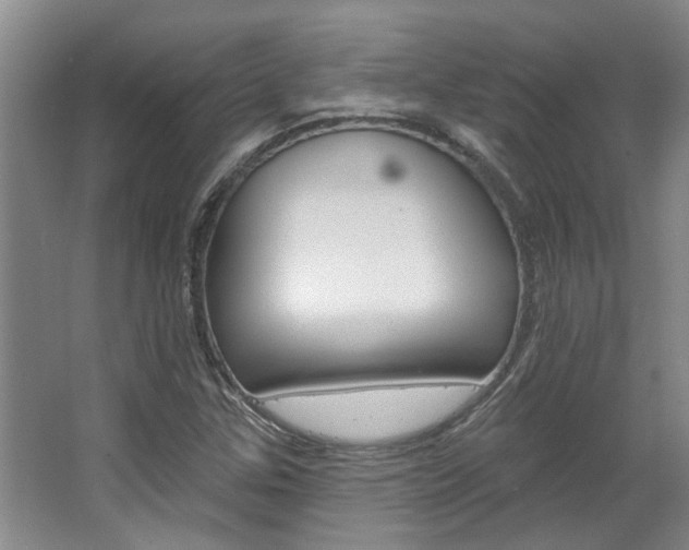 X0000063491307200601201040