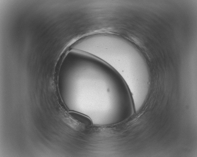 X0000063491308200601201040