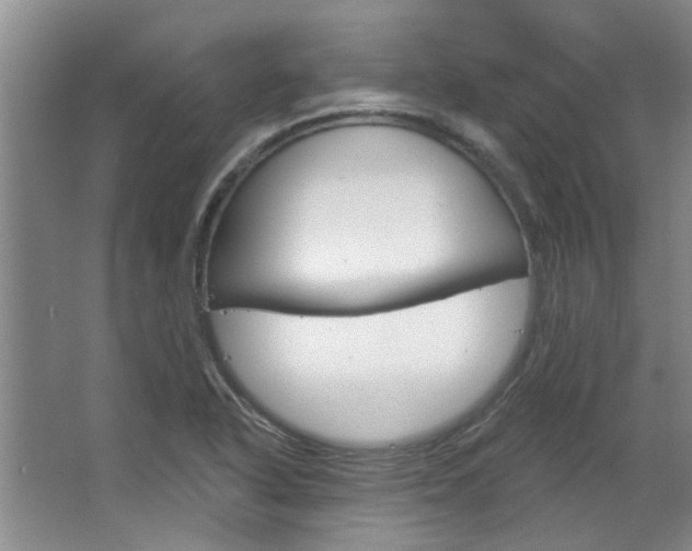 X0000063491318200601201041