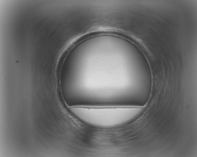 X0000063491319200601201041