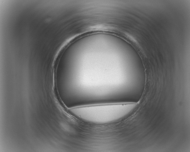 X0000063491323200601201041