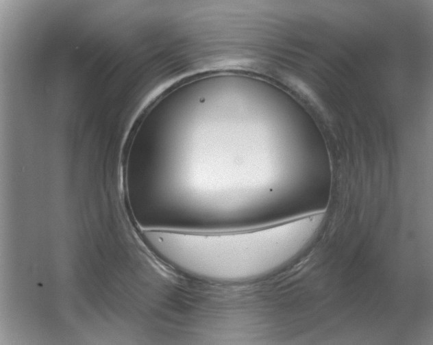X0000063491324200601201041