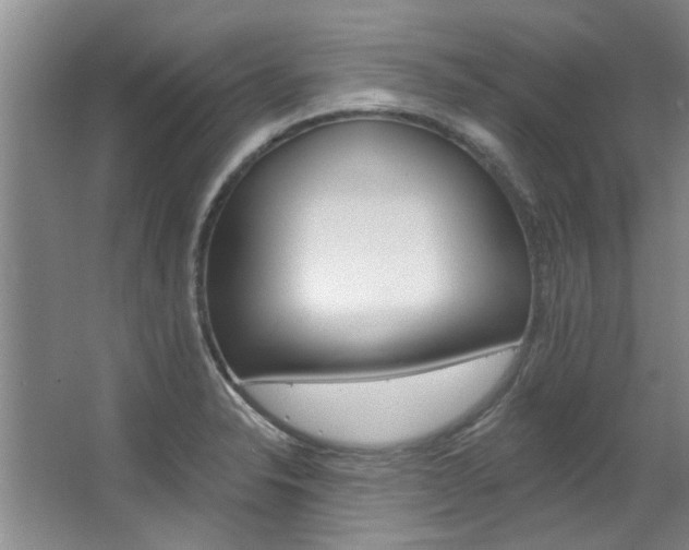 X0000063491326200601201041