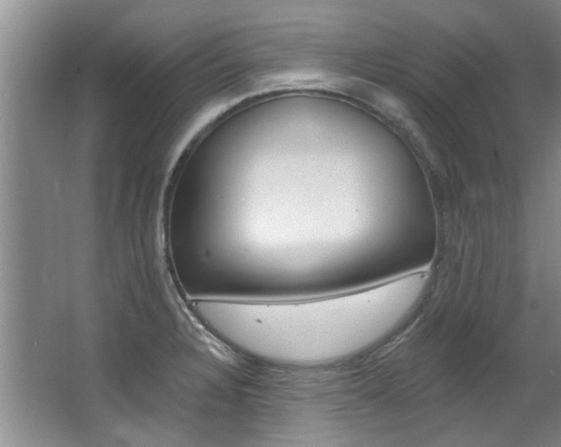X0000063491328200601201041