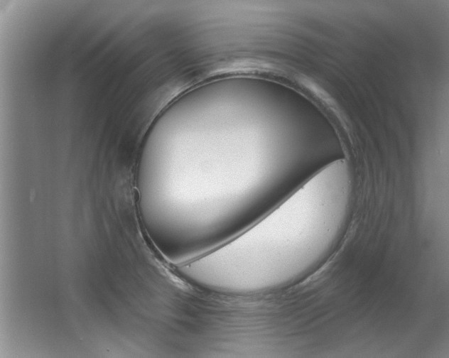 X0000063491329200601201041
