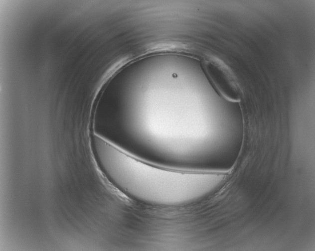 X0000063491330200601201041