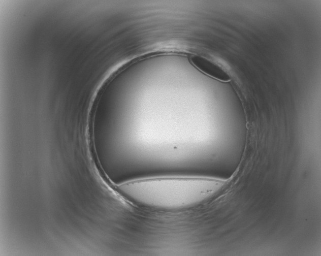 X0000063491331200601201041
