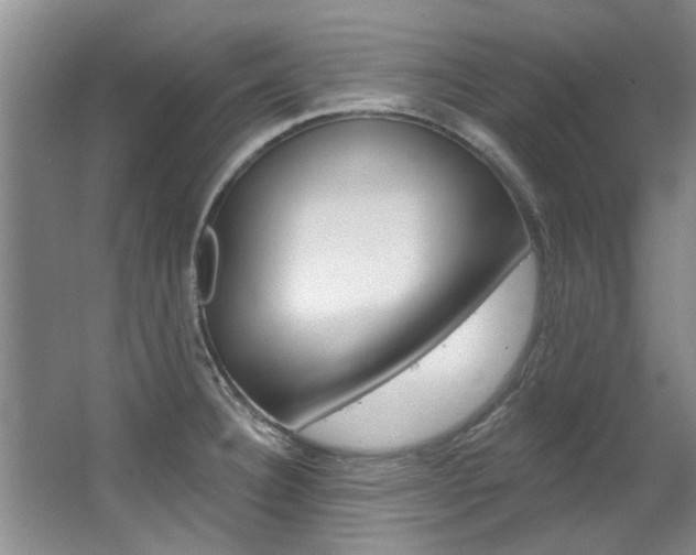 X0000063491332200601201041