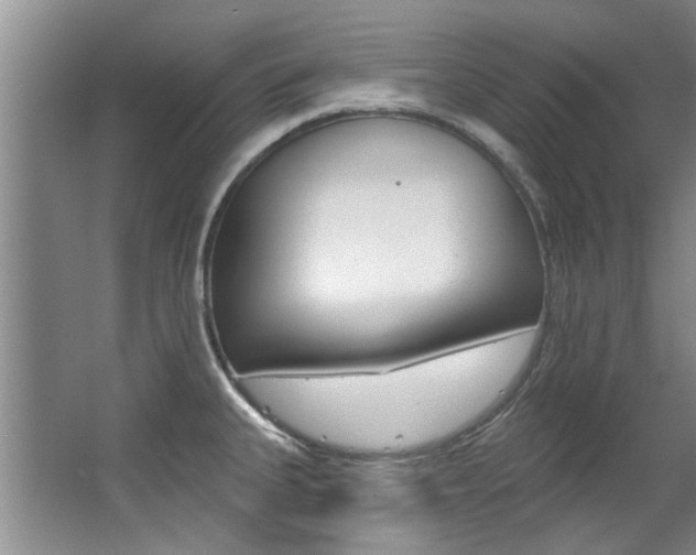 X0000063491335200601201041