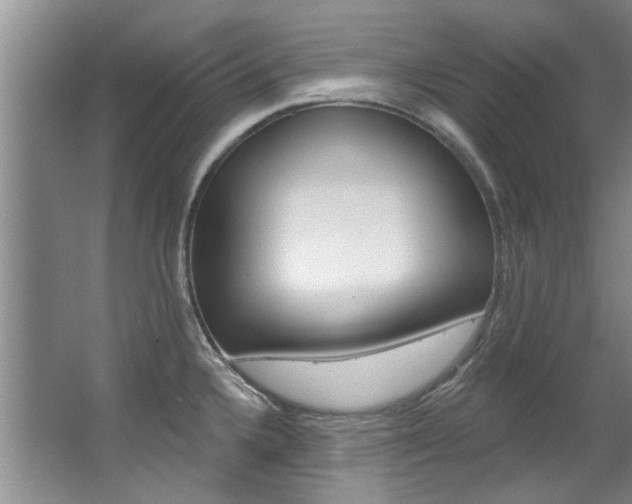 X0000063491336200601201041