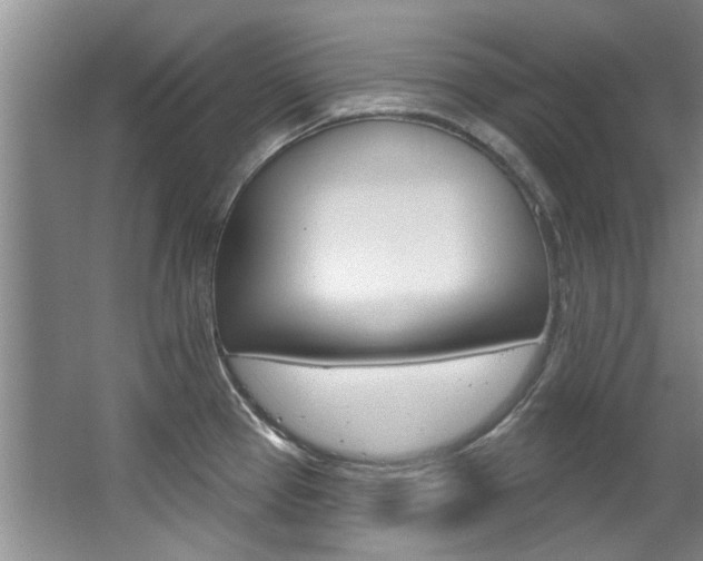 X0000063491337200601201041