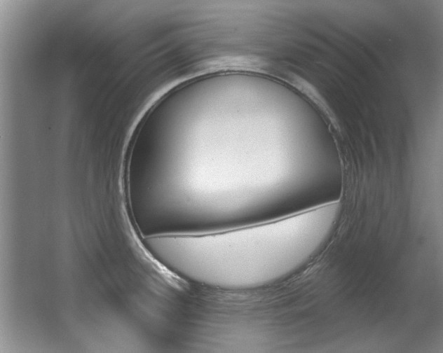 X0000063491339200601201041