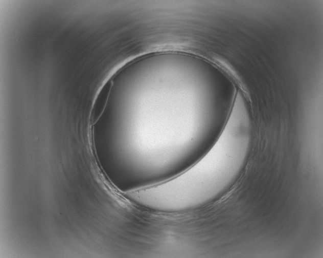 X0000063491340200601201041