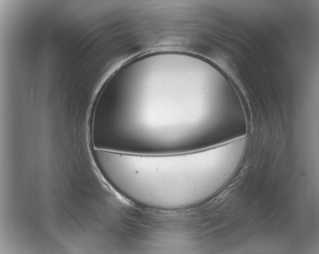 X0000063491341200601201041