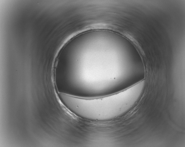 X0000063491342200601201041