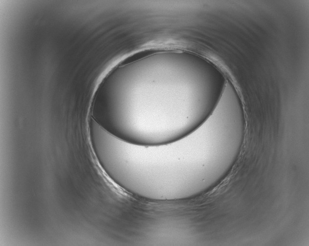 X0000063491344200601201041