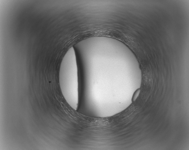 X0000063491346200601201040