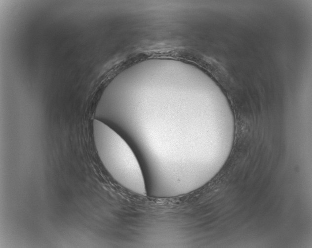 X0000063491350200601201040
