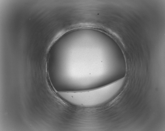 X0000063491365200601201040