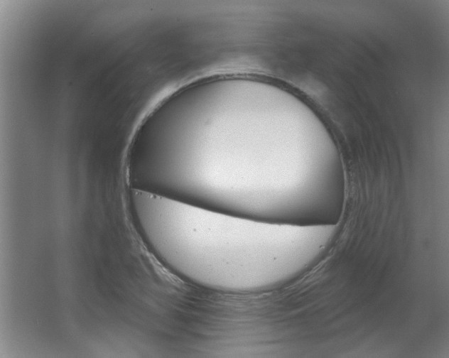 X0000063491366200601201040