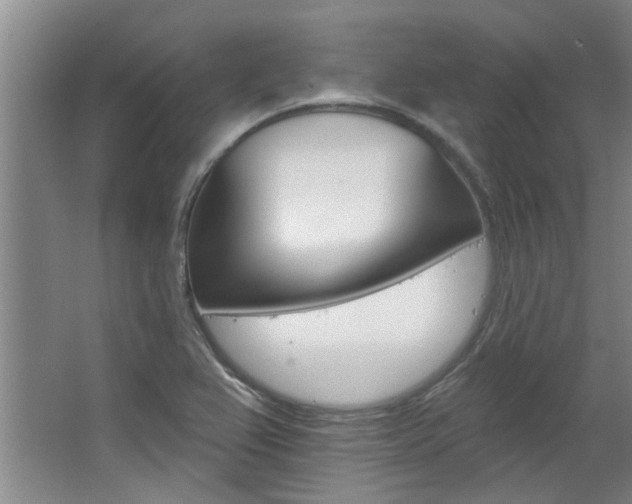 X0000063491367200601201040