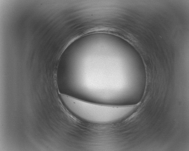 X0000063491369200601201040