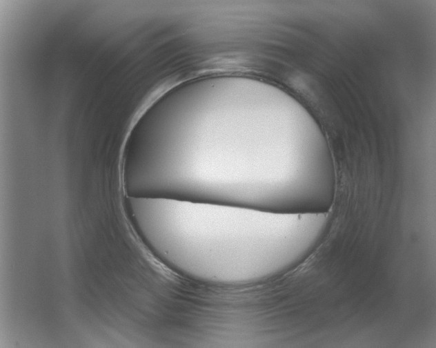 X0000063491370200601201040