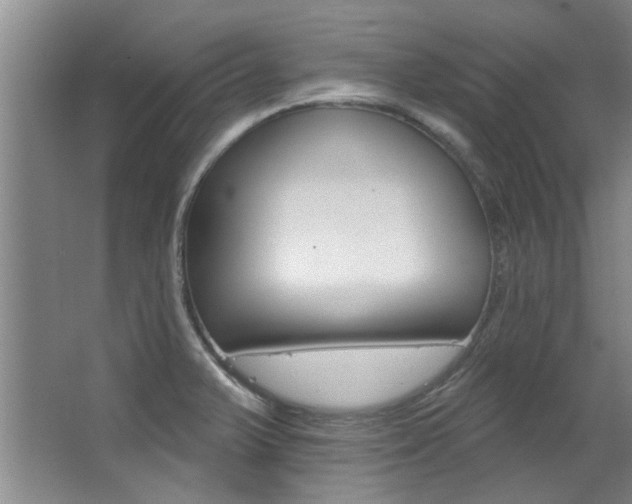 X0000063491375200601201040