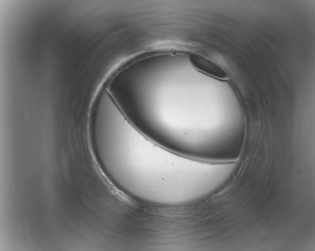 X0000063491376200601201040