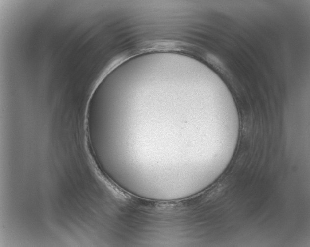 X0000063491378200601201040