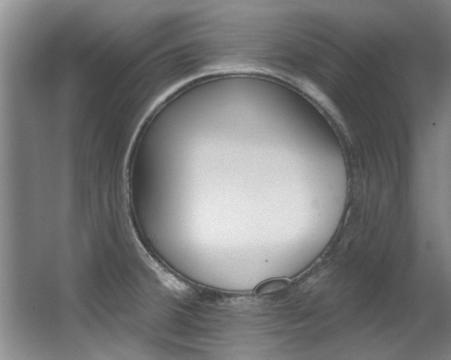 X0000063491380200601201040