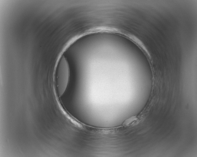 X0000063491381200601201040