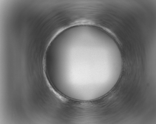 X0000063491383200601201040
