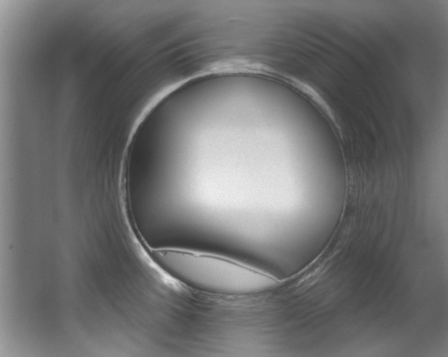 X0000063491387200601201039