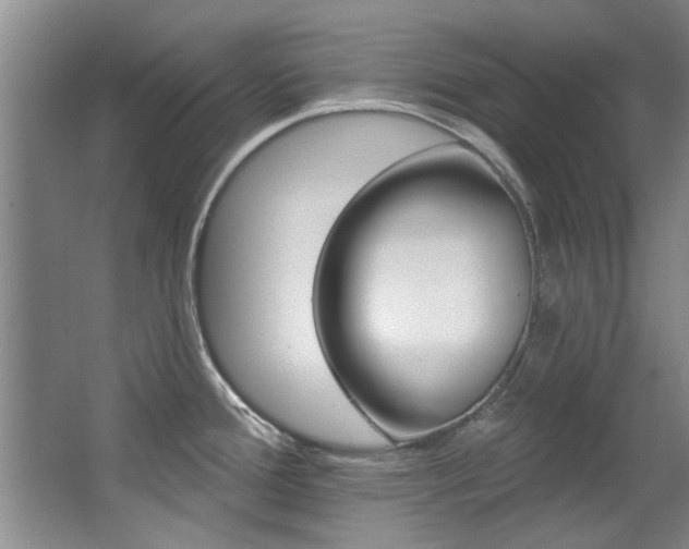 X0000063491388200601201039
