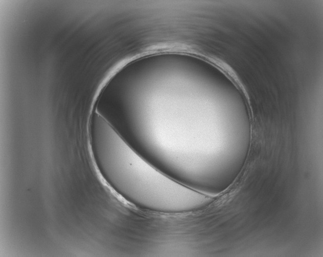 X0000063491389200601201039