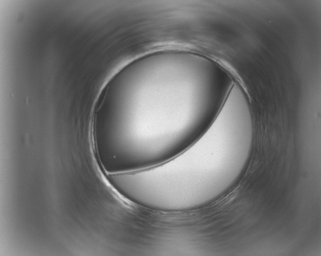 X0000063491391200601201039