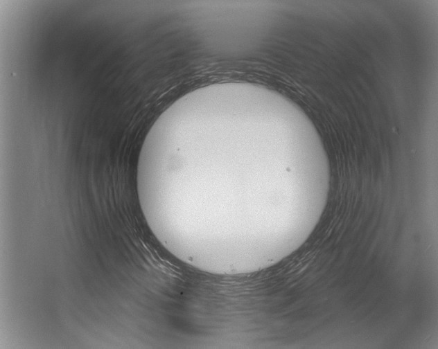X0000063491394200601201039