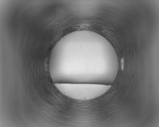 X0000063491395200601201039