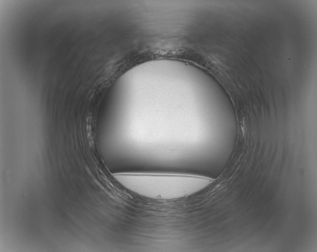 X0000063491396200601201039