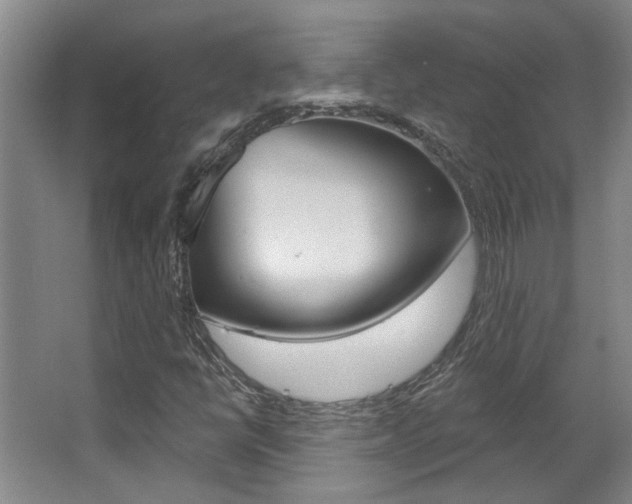 X0000063491398200601201039