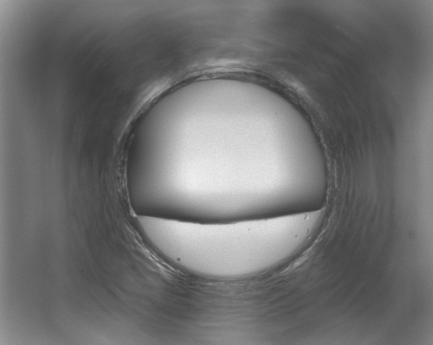 X0000063491405200601201039